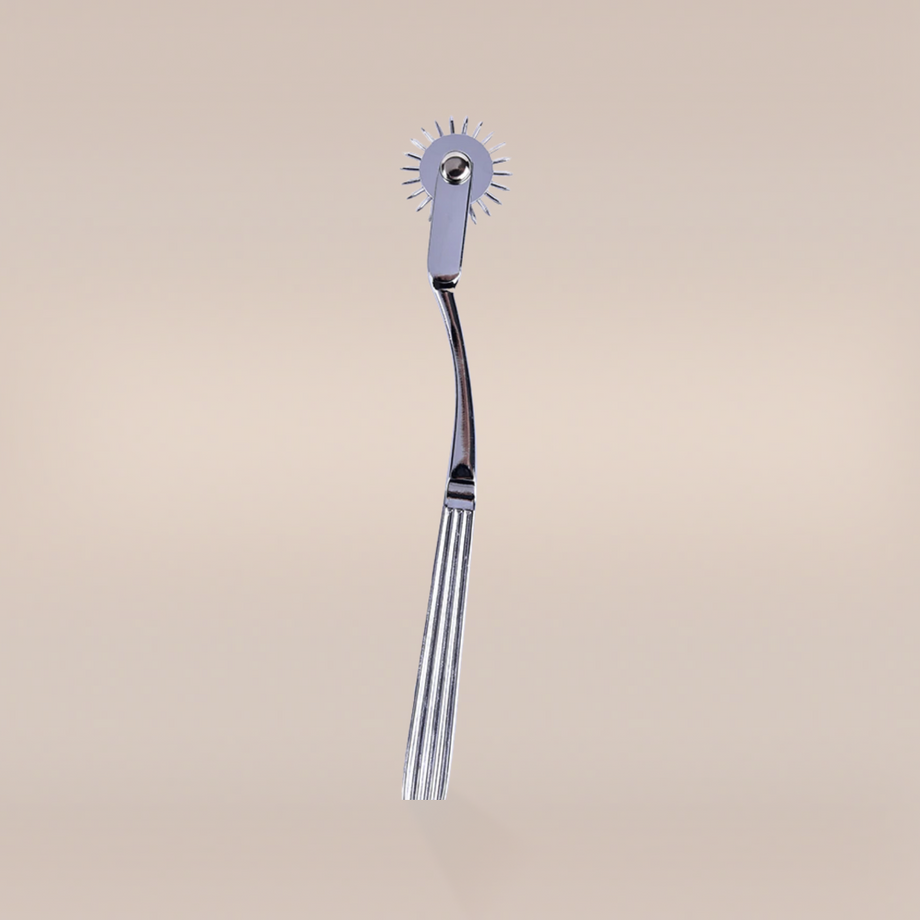 Wartenberg Pinwheel | UK Eco Adult Store | Subana